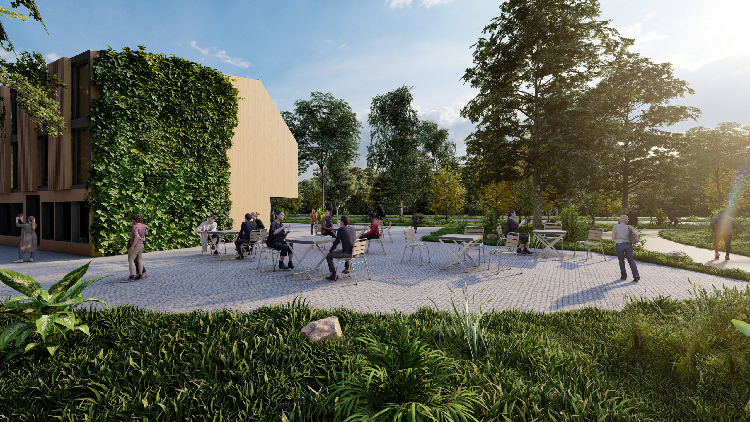 Angle 5 - Wetland Park