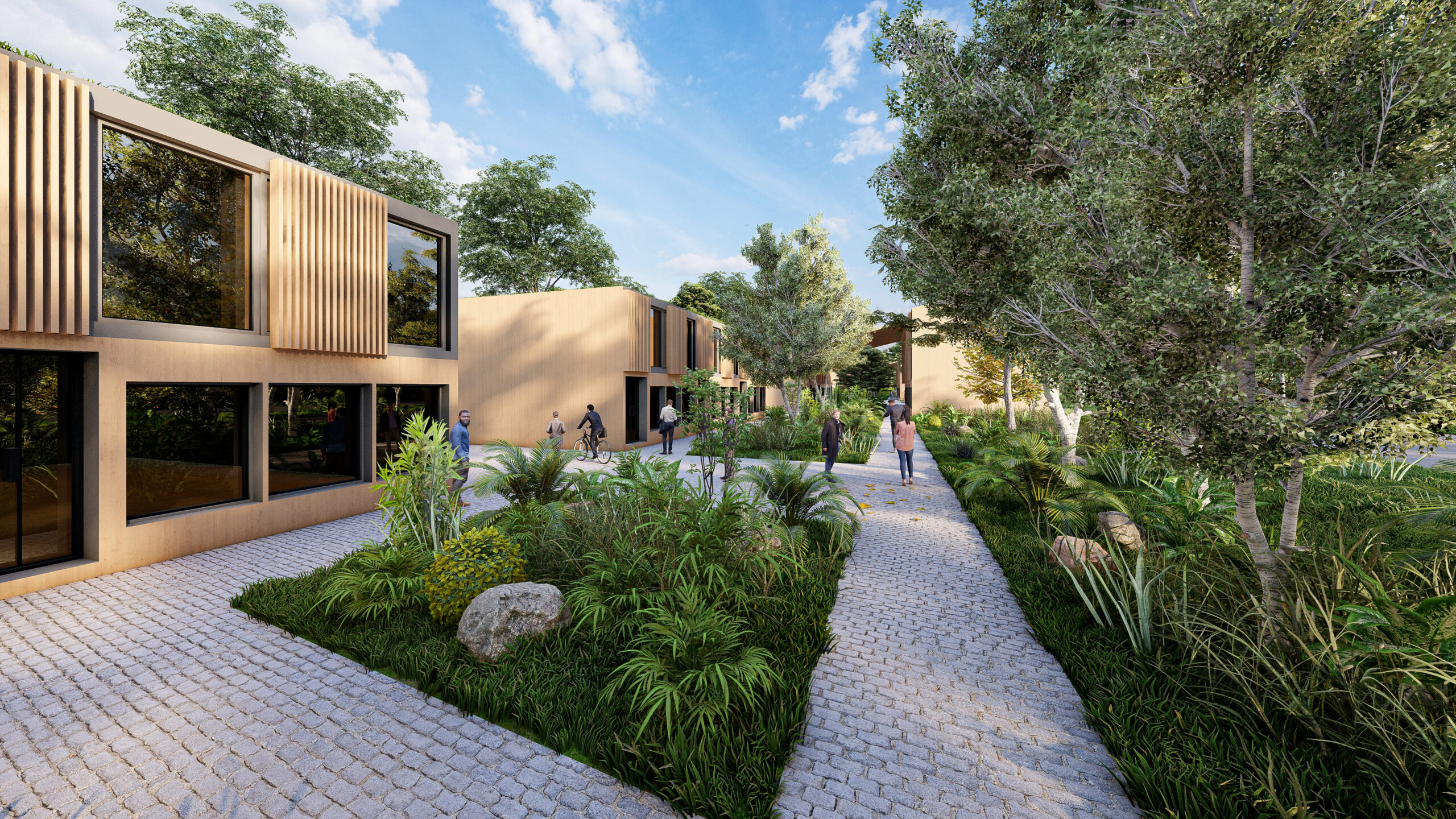 Angle 9 - Second Area Biophilic Core