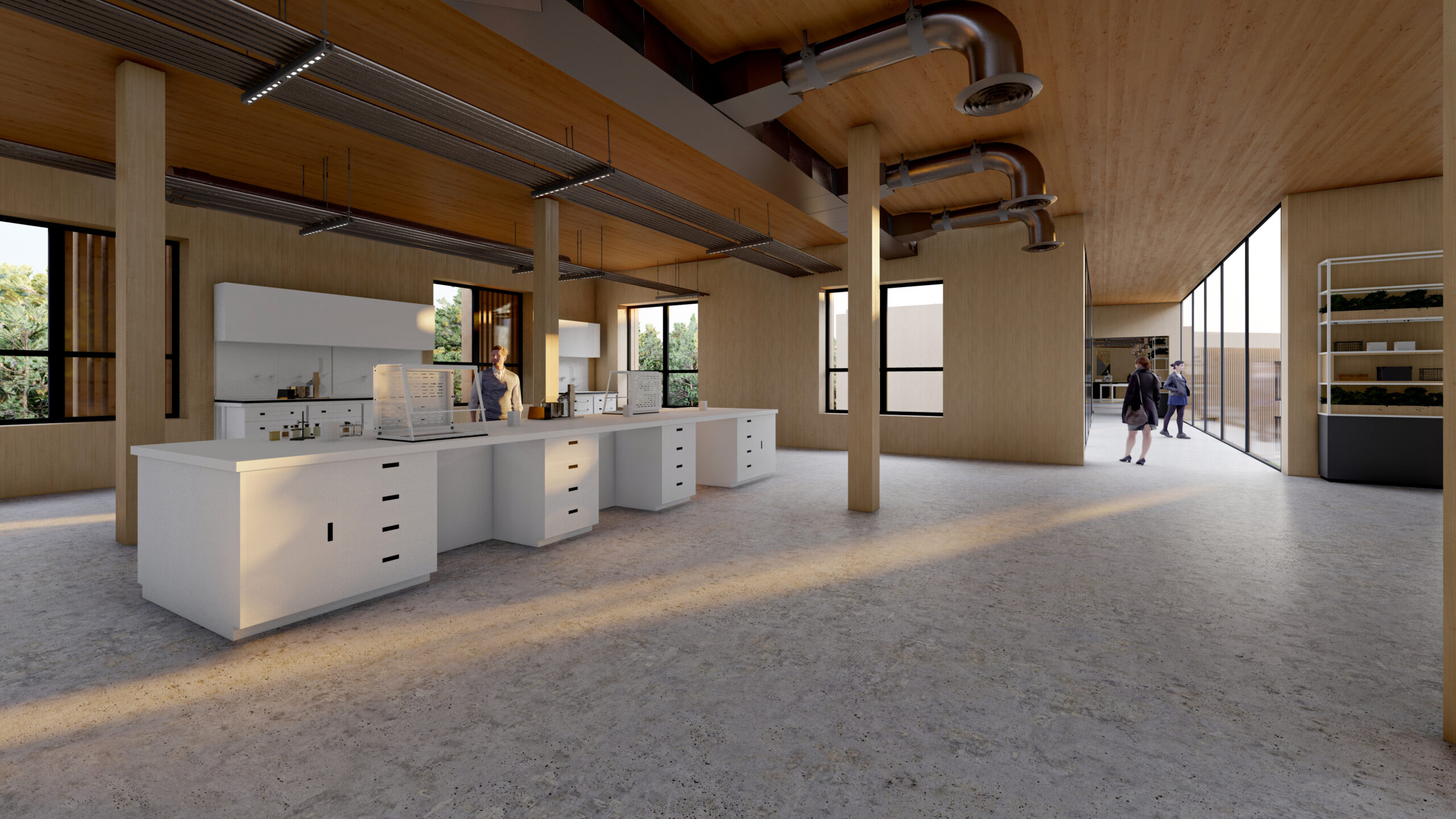 Bridge Revision With New People